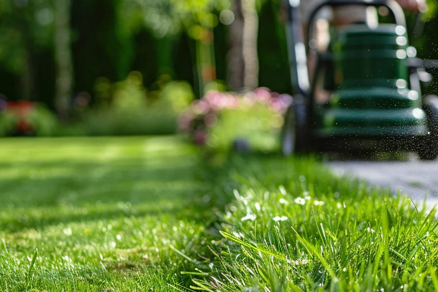 self propelled battery lawnmower